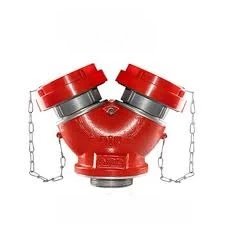 شیر سیامی 1.jpg