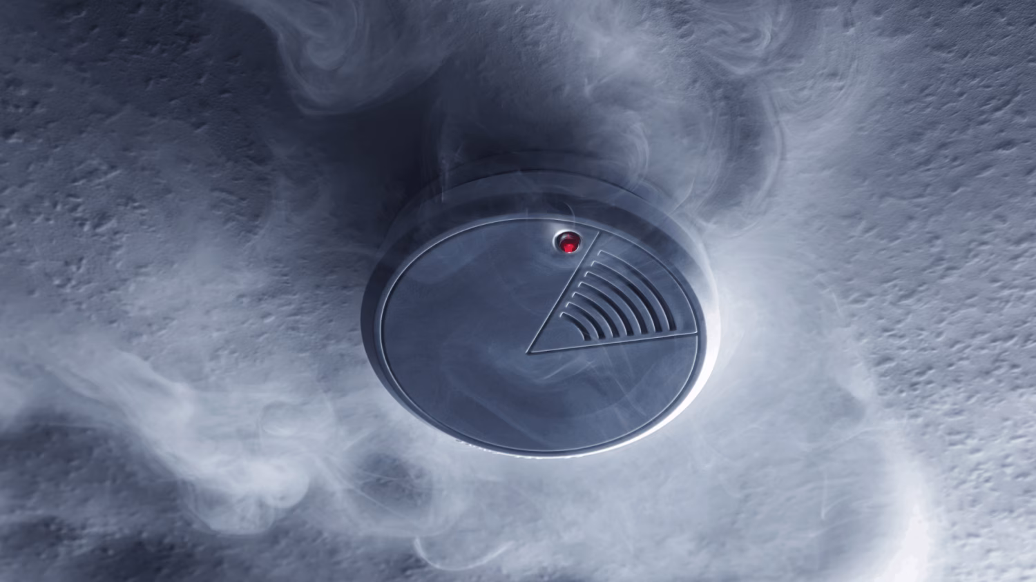 Untitled design (11) (1).png