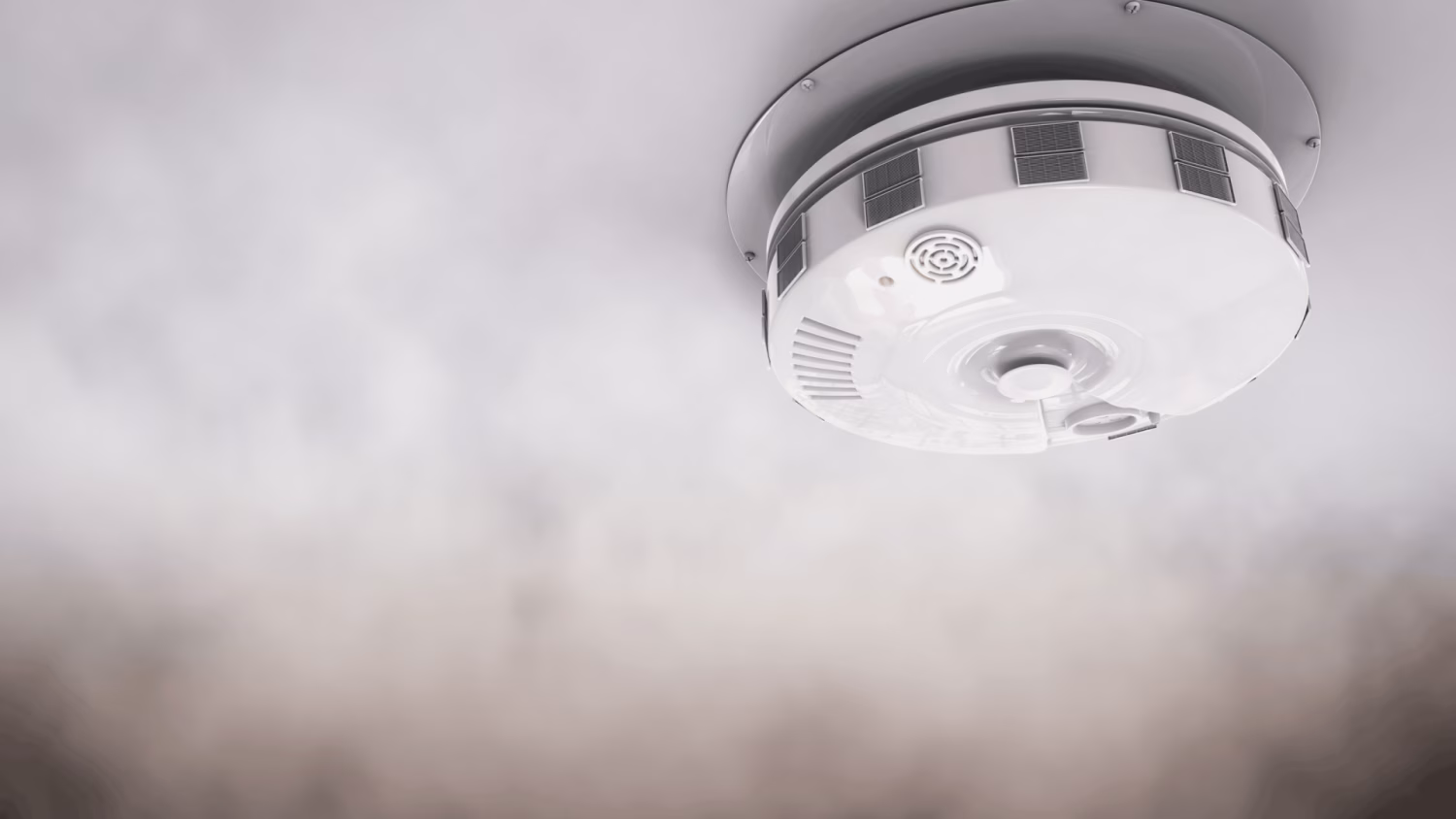 Untitled design (12) (1).png